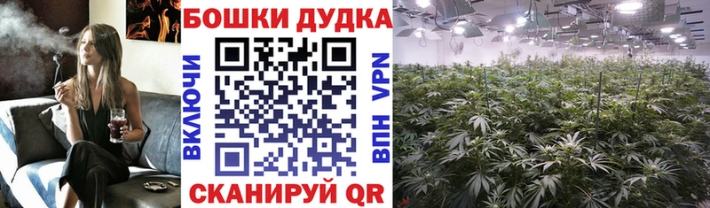 Купить наркотики Невинномысск Галлюциногенные грибы  Метамфетамин  Гашиш  Кокаин  АМФ  Меф мяу мяу 
