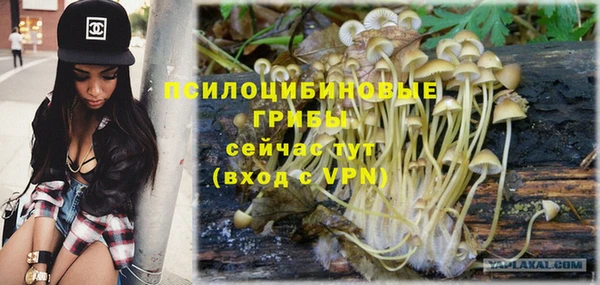 кокс Алексин