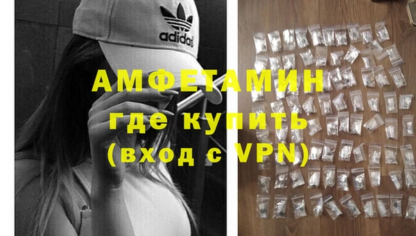 сатива Алзамай